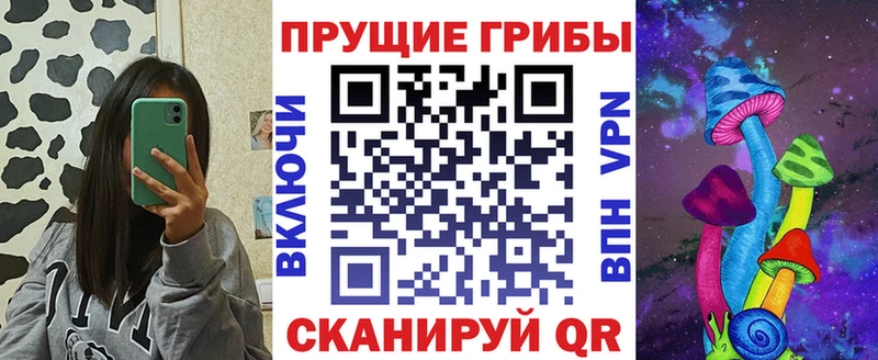 сколько стоит  Трубчевск  блэк спрут рабочий сайт  Псилоцибиновые грибы Psilocybine cubensis 